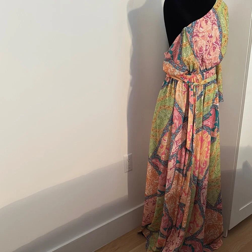 Elegant Multicolor One-Shoulder Dress - Picture 6 of 7